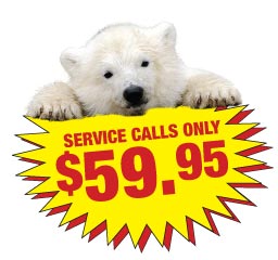 Service Calls only $59.95!